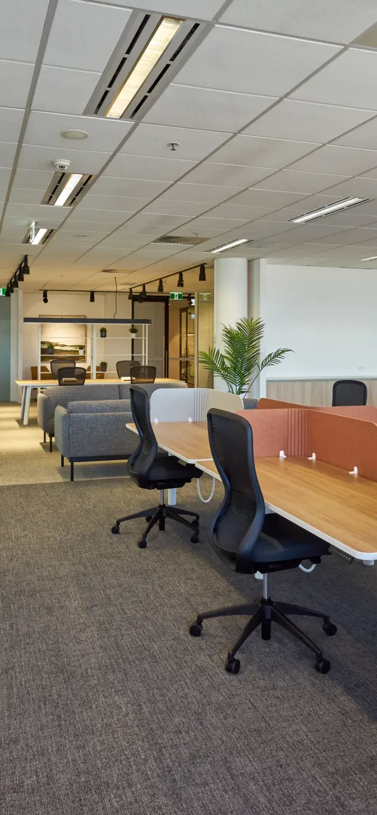 Fitout Level 9